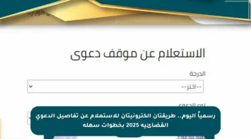 رسمياً اليوم.. طريقتان إلكترونيتان للاستعلام عن تفاصيل الدعوى القضائية 2025 بخطوات سهلة